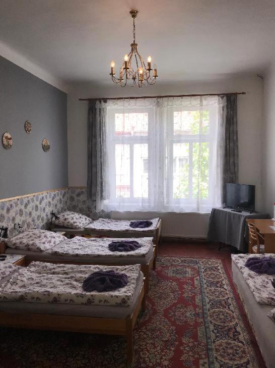 Penzion Rajf Krnov Dış mekan fotoğraf